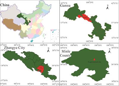 Selecting reasonable soil moisture-maintaining measures to improve the soil physicochemical properties and achieve high yield and quality of purple garlic in the China Hexi Corridor oasis agricultural area